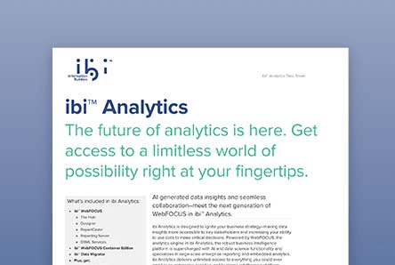 Data sheet ibi analytics cover screenshot